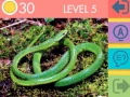Quiz รูปภาพ 15 รูป เกมออนไลน์ Quiz รูปภาพ 15 รูป เกมออนไลน์