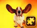 ปริศนาหมาน่าขำ เกมออนไลน์