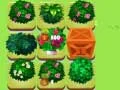 รวมพืช เกมออนไลน์ รวมพืช เกมออนไลน์