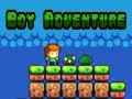 การผจญภัยของเด็กชาย เกมออนไลน์