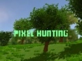 การล่าพิกเซล เกมออนไลน์