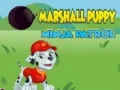 มาร์แชลล์ลูกสุนัขนินจาปฏิบัติการ เกมออนไลน์