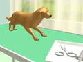 ดูแลเท้า เกมออนไลน์