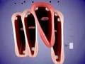 คอรัสดี๊ด เกมออนไลน์ คอรัสดี๊ด เกมออนไลน์