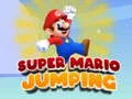 ซูเปอร์มาริโอ้กระโดด เกมออนไลน์