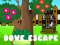 การหลบหนีของนกพิราบ เกมออนไลน์