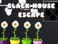 หนีจากบ้านสีดำ เกมออนไลน์