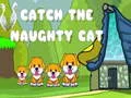 จับแมวซน เกมออนไลน์ จับแมวซน เกมออนไลน์