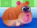 ช่วยเหลือสัตว์เลี้ยง 2 เกมออนไลน์
