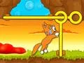 ช่วยแมว เกมออนไลน์ ช่วยแมว เกมออนไลน์