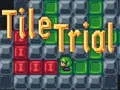 การลองกระเบื้อง เกมออนไลน์ การลองกระเบื้อง เกมออนไลน์