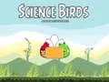 นกวิทยาศาสตร์ เกมออนไลน์ นกวิทยาศาสตร์ เกมออนไลน์