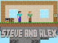 สตีฟและอเล็กซ์ เกมออนไลน์
