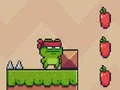 การผจญภัยของนินจาอ amphibian  เกมออนไลน์