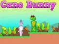 คาโนกระต่าย เกมออนไลน์