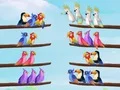 ปริศนาการจัดเรียงนก เกมออนไลน์ ปริศนาการจัดเรียงนก เกมออนไลน์