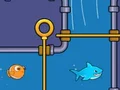 ช่วยเหลือปลา เกมออนไลน์