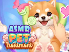 การรักษาสัตว์เลี้ยง ASMR เกมออนไลน์
