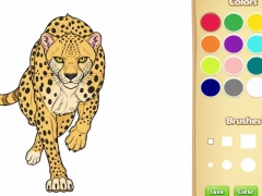 สมุดระบายสีสัตว์ป่า เกมออนไลน์