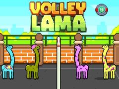วอลเลย์ ลามะ เกมออนไลน์