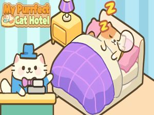 โรงแรม Cat Purrfect ของฉัน เกมออนไลน์