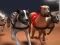 การแข่งขันเกรย์ฮาวด์ เกมออนไลน์