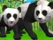 เกมจำลองแพนด้า 3D เกมออนไลน์