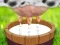 รีดนมวัว เกมออนไลน์