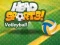 Head Sports วอลเลย์บอล เกมออนไลน์