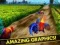 ไก่โกรธวิ่งในรถไฟฟ้า เกมออนไลน์