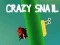 หอยทากบ้า เกมออนไลน์
