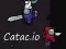 Catac.io เกมออนไลน์