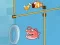 ปลาการ์ตูนออนไลน์ เกมออนไลน์
