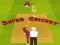 ซูเปอร์ครicket เกมออนไลน์