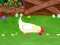 ไก่โง่ เกมออนไลน์