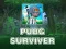 PUBG ผู้รอดชีวิต เกมออนไลน์