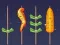 การแข่งขันปิ้งย่าง เกมออนไลน์