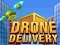 การจัดส่งด้วยโดรน เกมออนไลน์