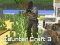 เคาน์เตอร์คราฟต์ 3 เกมออนไลน์
