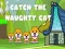 จับแมวซน เกมออนไลน์