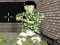 พลังกระสุน เกมออนไลน์