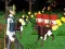 การต่อสู้ที่ดีที่สุด Cover Royale เกมออนไลน์