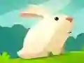 กระต่ายโลภ เกมออนไลน์ กระต่ายโลภ เกมออนไลน์