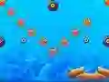 ปลาปอมปาดัว เกมออนไลน์ ปลาปอมปาดัว เกมออนไลน์