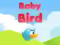 นกทารก เกมออนไลน์ นกทารก เกมออนไลน์