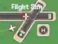 การจำลองการบิน เกมออนไลน์