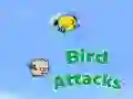 นกโจมตี เกมออนไลน์ นกโจมตี เกมออนไลน์