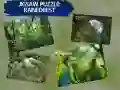 ปริศนาอัจฉริยะป่าเขตร้อน เกมออนไลน์ ปริศนาอัจฉริยะป่าเขตร้อน เกมออนไลน์