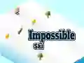 สกีที่เป็นไปไม่ได้ เกมออนไลน์ สกีที่เป็นไปไม่ได้ เกมออนไลน์