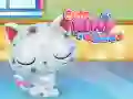 การดูแลแมวตัวน้อยน่ารัก เกมออนไลน์ การดูแลแมวตัวน้อยน่ารัก เกมออนไลน์